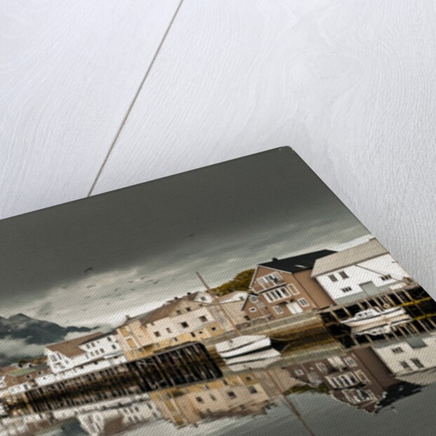 Village in Lofoten, Norway by Assaf Frank